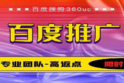 百度推广策略揭秘：某行业领头羊的成功经验